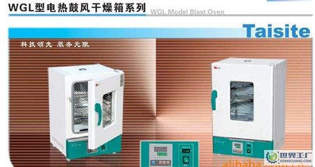 出口型鼓風干燥箱、WGL-30B烘箱、精密恒溫干燥箱_鼓風干燥箱 _世界工廠網(wǎng)